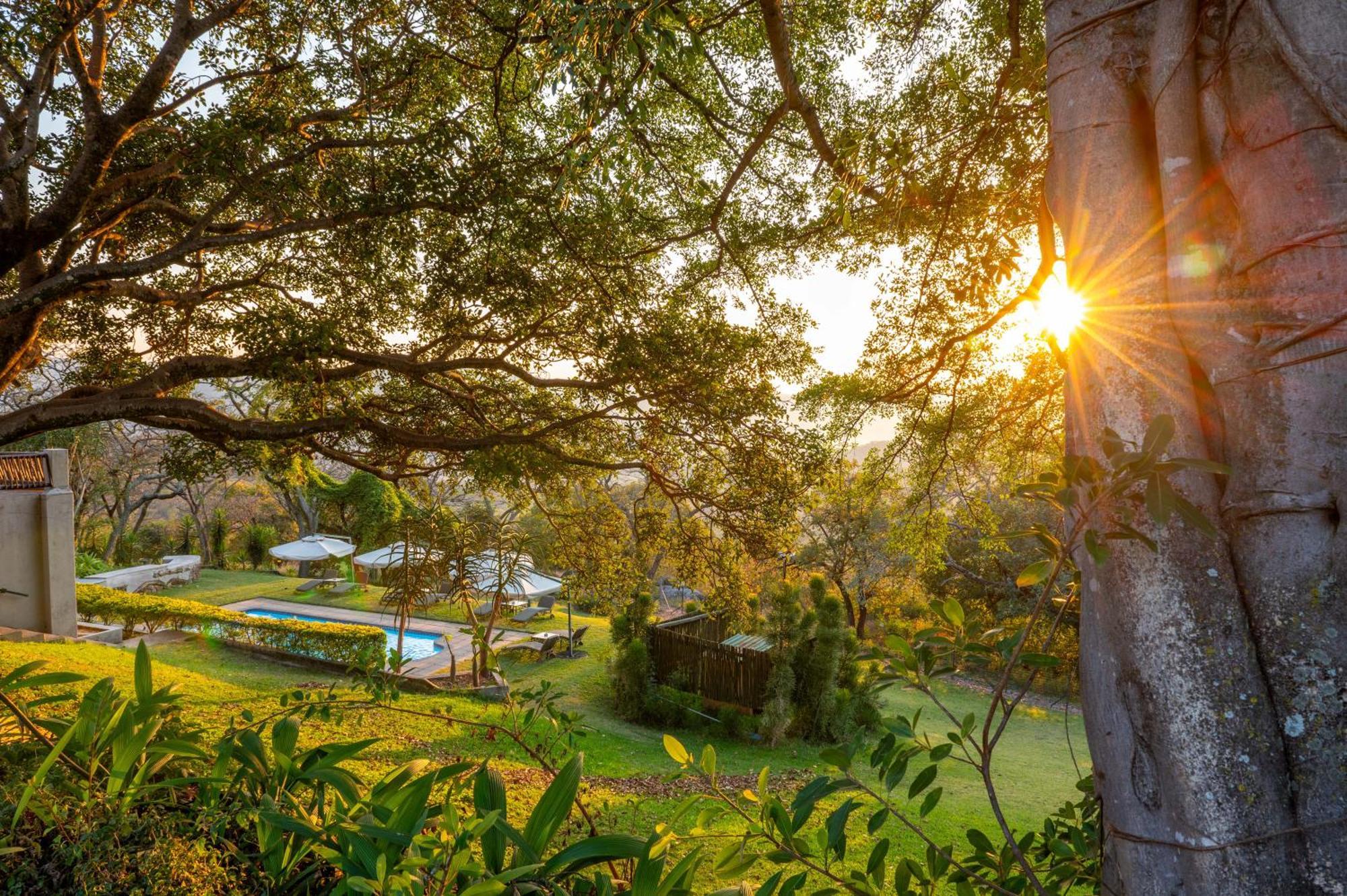 האזיביו Chestnut Country Lodge מראה חיצוני תמונה