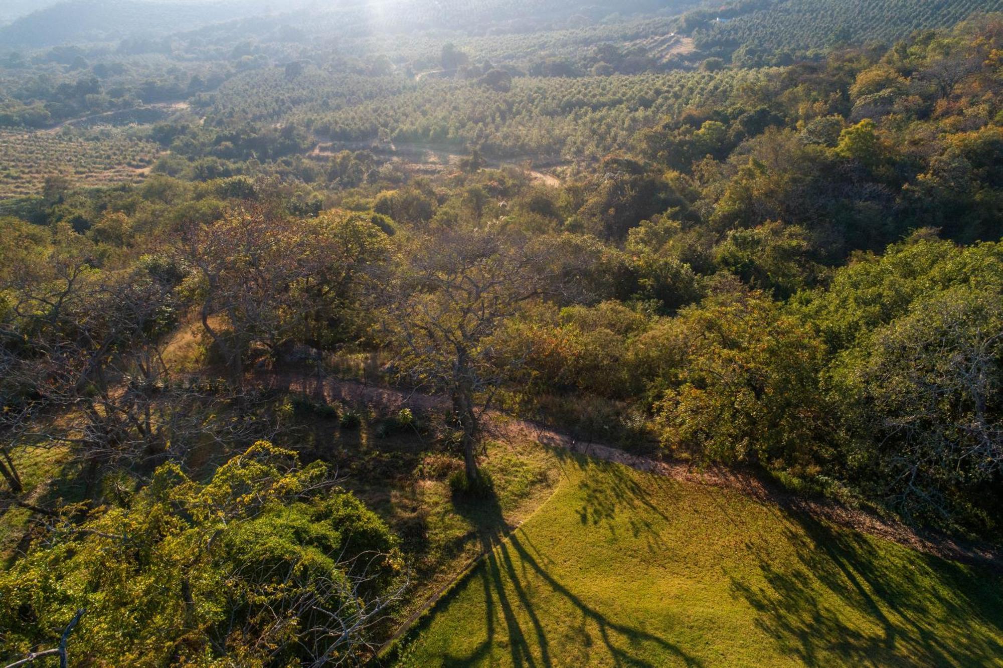 האזיביו Chestnut Country Lodge מראה חיצוני תמונה