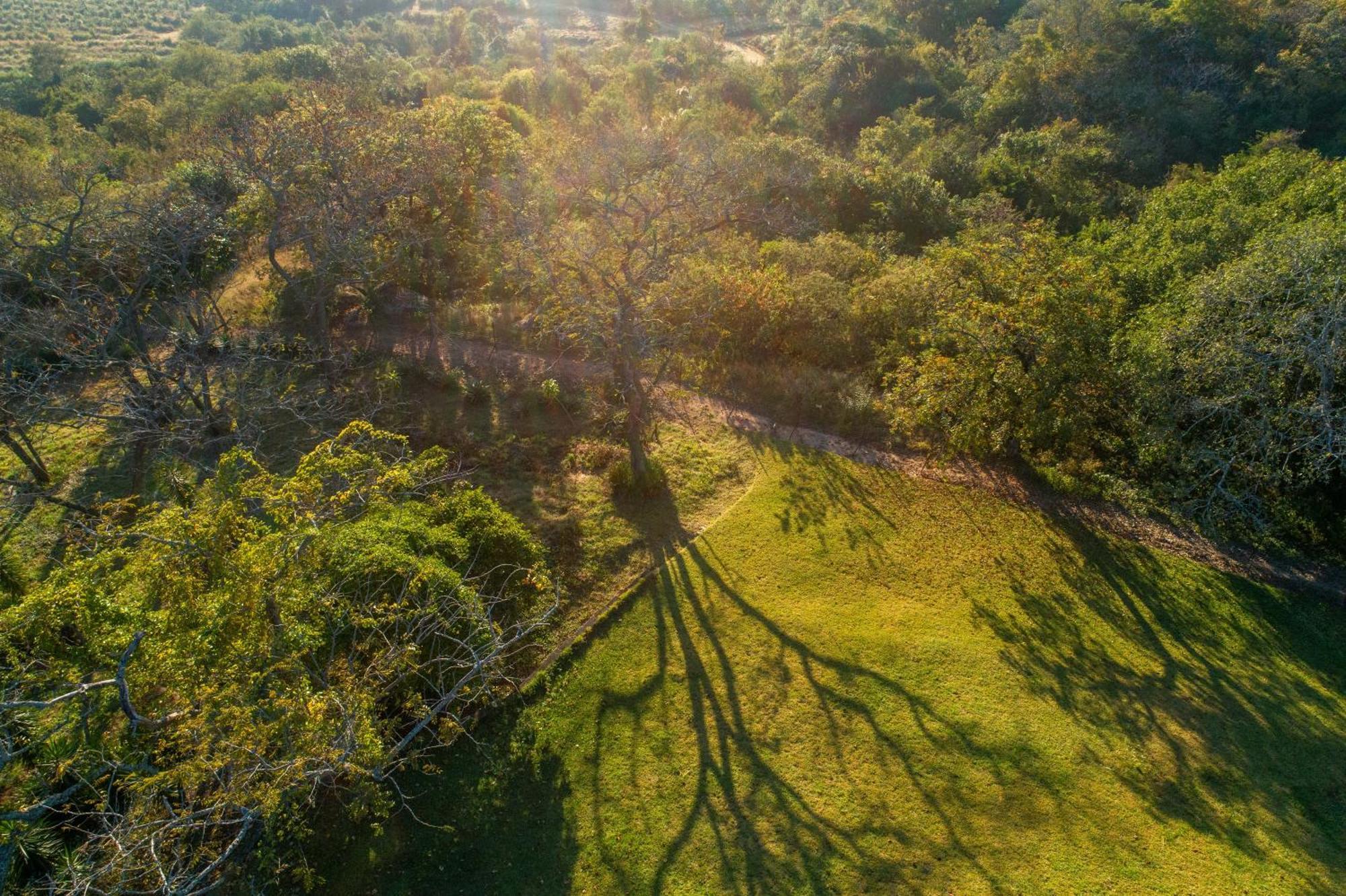 האזיביו Chestnut Country Lodge מראה חיצוני תמונה