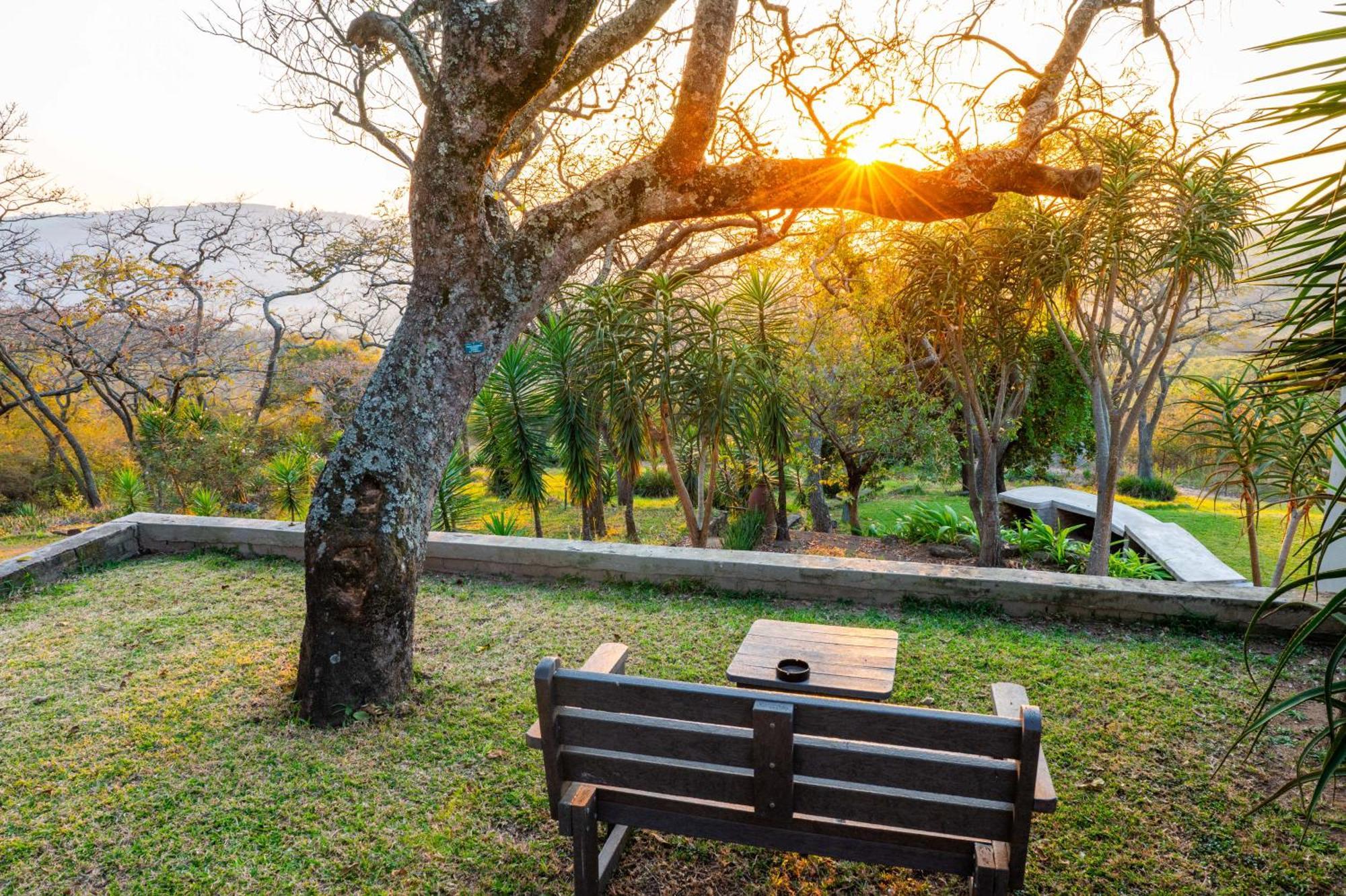 האזיביו Chestnut Country Lodge מראה חיצוני תמונה